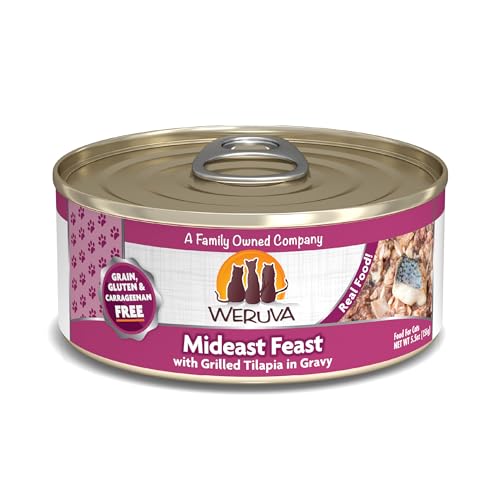 Classic Cat Food (5.5 Ounce (Pack of 24))