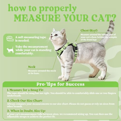 Cat Harness and Leash Set (M / Light Green)