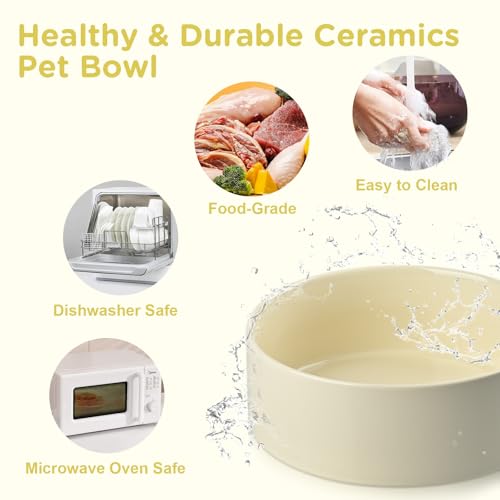 Elevated Dog Bowls Ceramic (8.3 in - 7.6 cups / Beige)