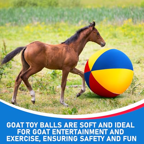 Giant 48 Inch Herding Balls with Ball Cover (Colorful / 48 Inch / Cute)