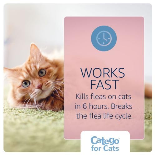 Flea and Tick Prevention for Cats (3-Month Supply)