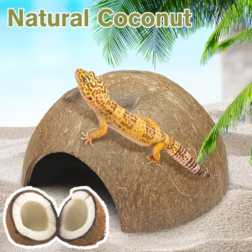 7 Pcs Reptile Hideouts Natural Coconut Shells Hut Leopard Gecko Tank Accessories for Aquarium Fish Hermit Crab Hide Cave Small Snake Tarantulas Lizard Chameleon (6 Pack Smooth)