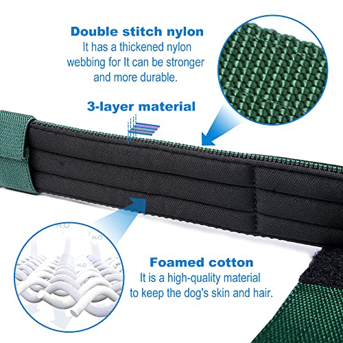 Heavy Duty Tactical Dog Collar with Patch (L/XL – Fits Neck 19.5"-23.5" / Basic Green)