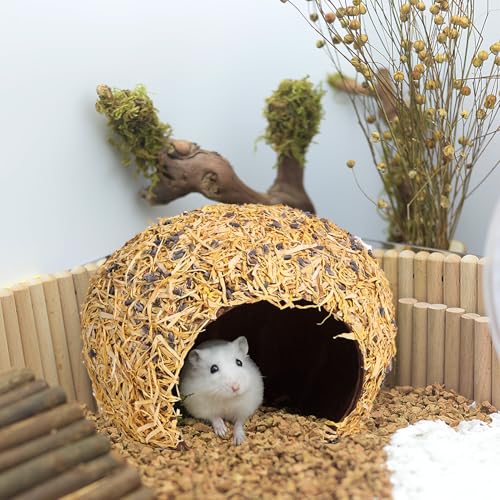 Hamster Hideout (Flower, Large)
