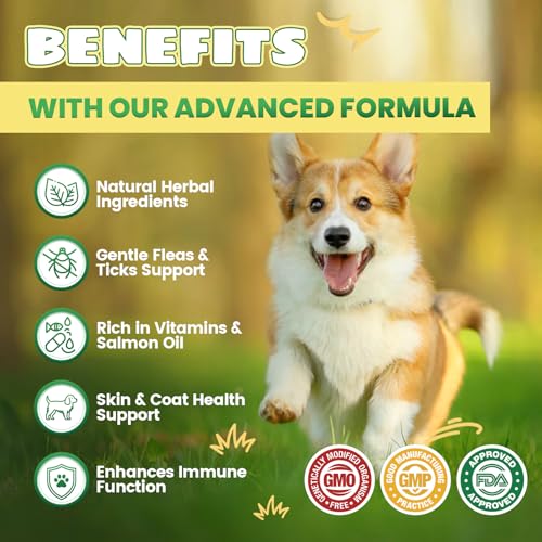 Flea and Tick Prevention for Dogs