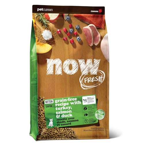 Kitten Dry Cat Food (3 Pound (Pack of 1))