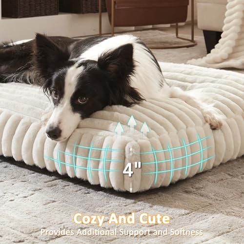 Dog Beds Large Sized Dog (Cream / L(35"x23"x4"))
