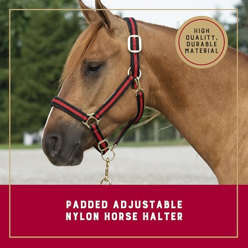 Nylon Horse Halter (Red / 1" Average Horse)