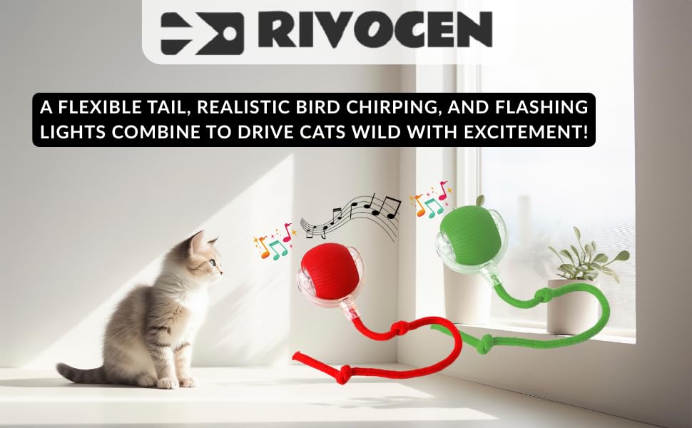 Indoor Cat Interactive Toy 360 (Green)