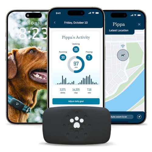 Smart GPS and Activity Dog Tracker Tag (Black)