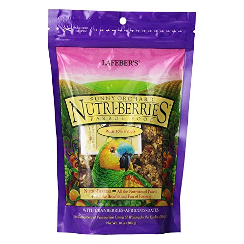 Gourmet Sunny Orchard Nutri (10 Ounce (Pack of 1))
