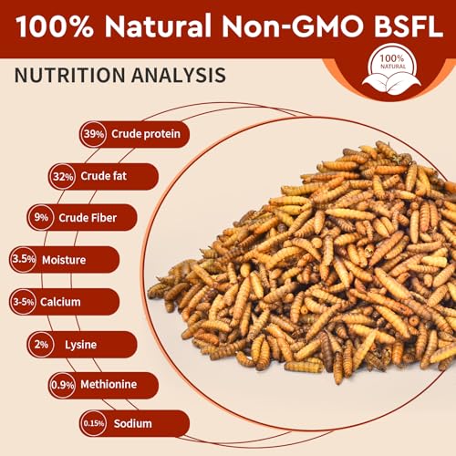 5LB Dried Black Soldier Fly Larvae for Chickens Food (5 Pound (Pack of 1))