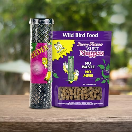 Berry Flavor Suet Nuggets (1.69 Pound (Pack of 1))
