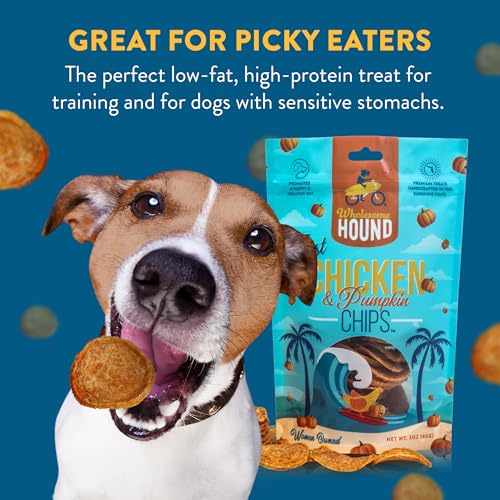Chicken Pumpkin Chips Dog Treats (3 Ounce)