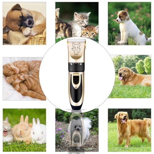 Dog Clippers for Grooming Low Noise (Gold)