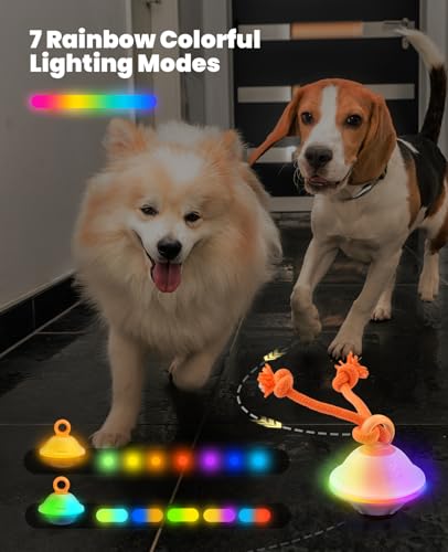 Smart Interactive Dog Toys (White)
