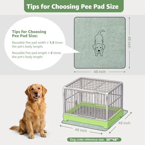 Whelping Pads 48"x48" (Green Dog Element / 48"x48"(Pack of 2))