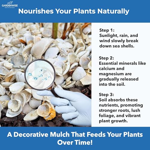Natural Organic Sea Shell Mulch for Gardens and Landscaping (2 CF - 56 L - 60 QTS / Sea Shell Mulch)