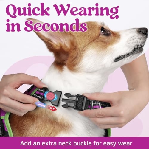 Dog Harness Small Sized (Purple & Light Green / Small)