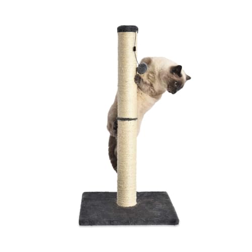 Cat Scratching Post for Indoor Cats & Kittens (Scratching Post / Grey / 31.5" H)