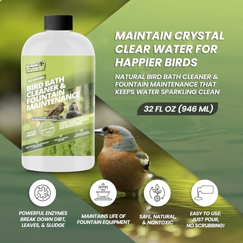 32oz Bird Bath Cleaner (32 oz)