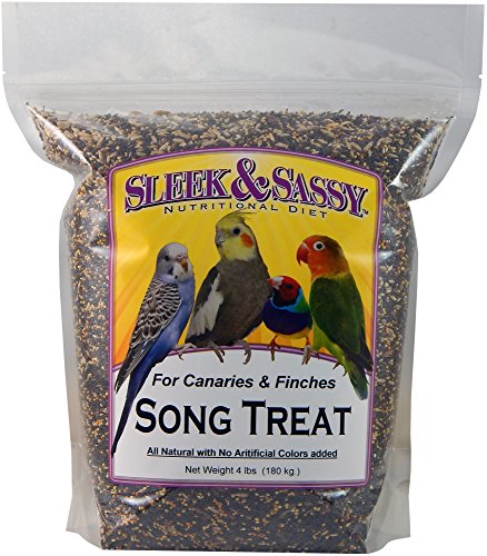 Song Bird Treat for Finches and Canaries (4 Pound (Pack of 1))