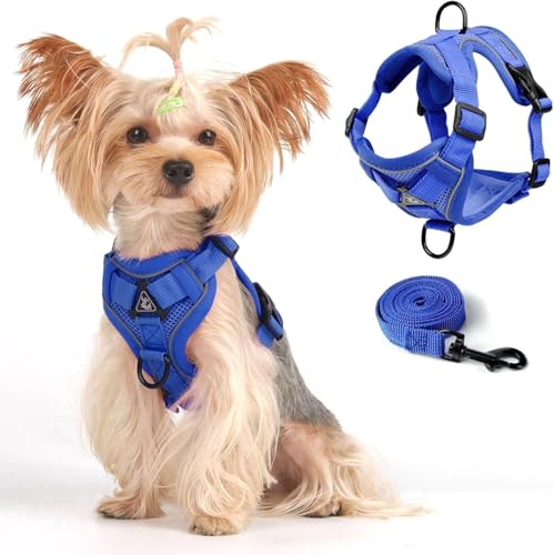 Vest Harness Leash Set for Small Dog Large Cat (Blue / XL)
