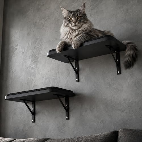 Cat Wall Shelves Set of 2 (2PCS Shelf with Black Sisal)