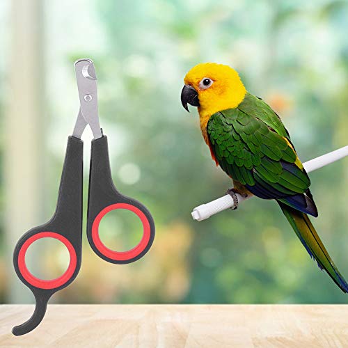Animal Nail Scissors