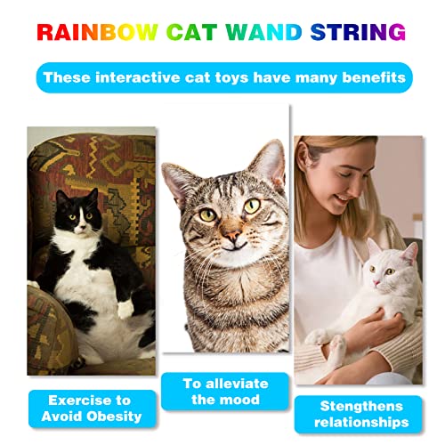 Cat Wand Toys Interactive Kitten Toys for Indoor Cats (2 PCS)