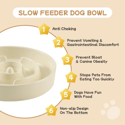 Elevated Slow Feeder Dog Bowls (Light Yellow)
