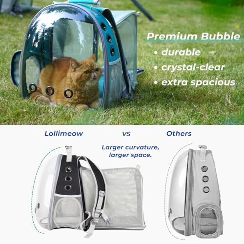 Expandable Bubble Cat Carrier Backpack (Square Back Expandable-Black)