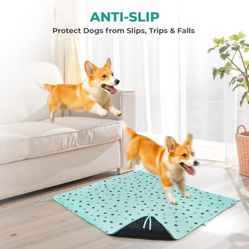 Washable Dog Pee Pads (Green / 31*36 Inch (Pack of 2))