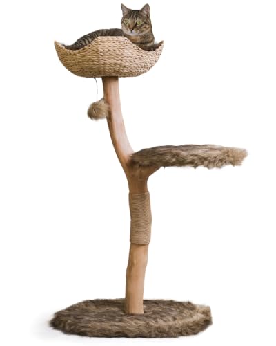 Mau Modern Wood Cat Tree Tower with Scratching Post (Brown)