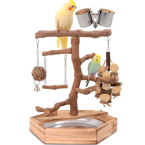 Natural Grape Wood Bird Parakeet Playground