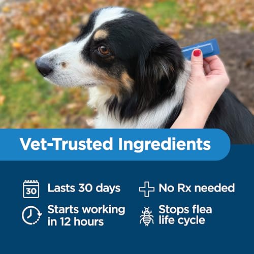 Activate II Flea and Tick Prevention for Medium Dogs (Medium)