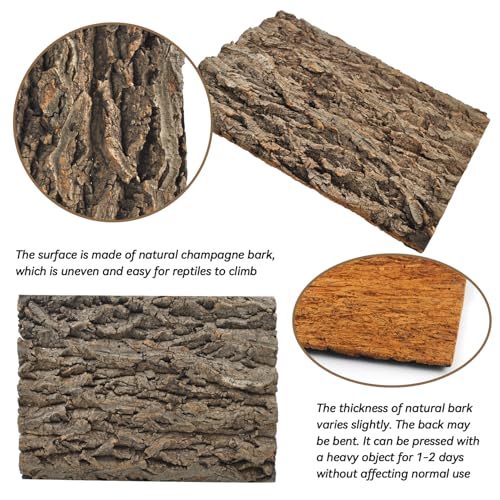 Cork Terrarium Background for Reptile (【4 PCS】)