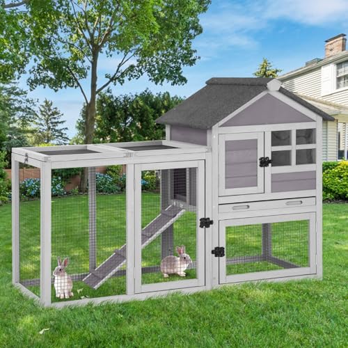 Large Rabbit Hutch Outdoor 2 (Light Grey)
