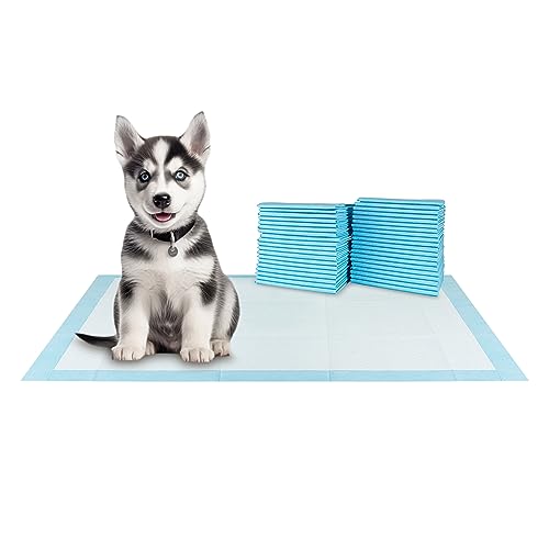 XXL Puppy Pads 40 Count 36" x 30" (XXL / 40-Count (Standard))