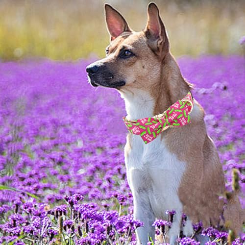 Dog Collar Dill Pickles Print Pet Collars with Bow Soft Cutton Boy Puppy Gift Adjustable Pink Bowtie Dog Collar for Large Dogs (Pink Dill Pickles / Large (Pack of 1))