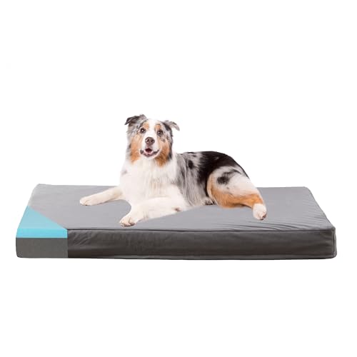 Orthopedic Memory Foam Dog Bed (Short Plush / Large-35"x 22" x 3")