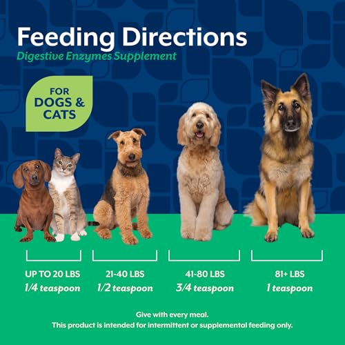 Digestive Enzymes with Pre & Probiotic for Dogs & Cats (10 Oz Powder)