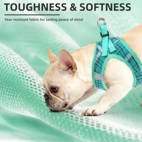 Dog Harness Collar and Leash Set No Pull for Small Medium Sized (Lake Green / L (CHEST 18"-20"))