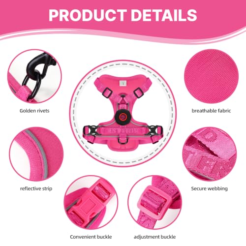 Cat Harness Leash Set with AirTag Holder (Pink for Airtag / S)