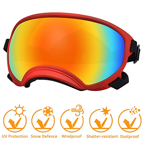 Large Dog Sunglasses