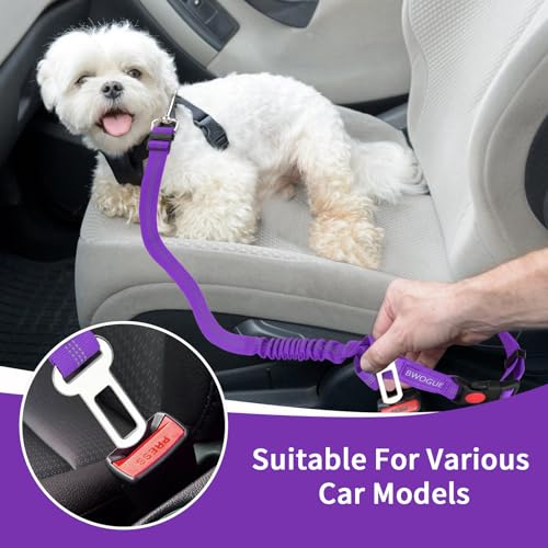 Dog Seat Belt for Car (Purple)