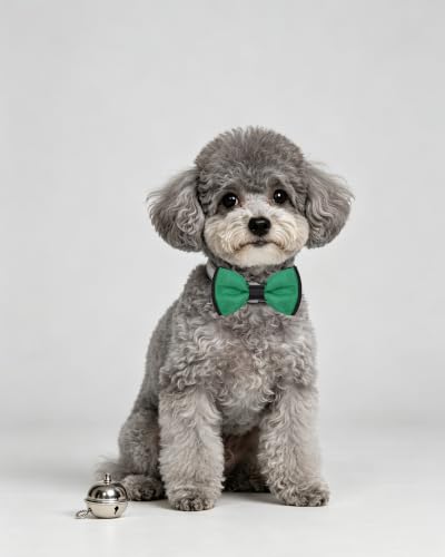 5 Pack Mixed Color Dog Bowties for Small Dogs Slide on Collar (S/M)