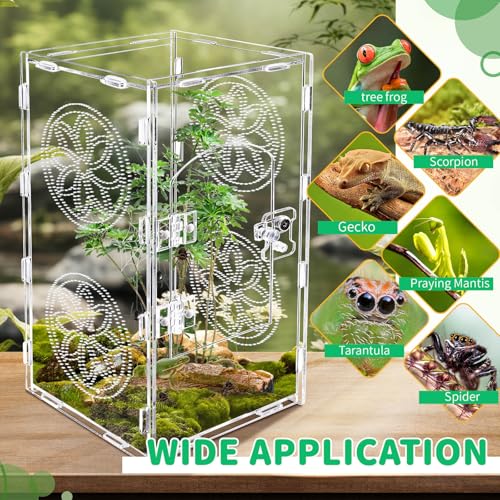 Large Jumping Spider Enclosure (transparent / 11.8*6)