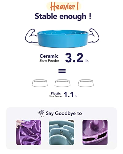 Dog Bowls Slow Feeder Ceramic (Vortex Blue / M-1.5 Cups)