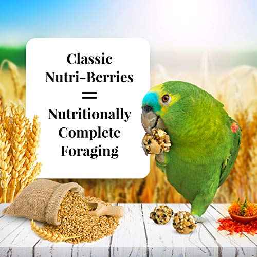 Classic Nutri (10 Ounce (Pack of 1))